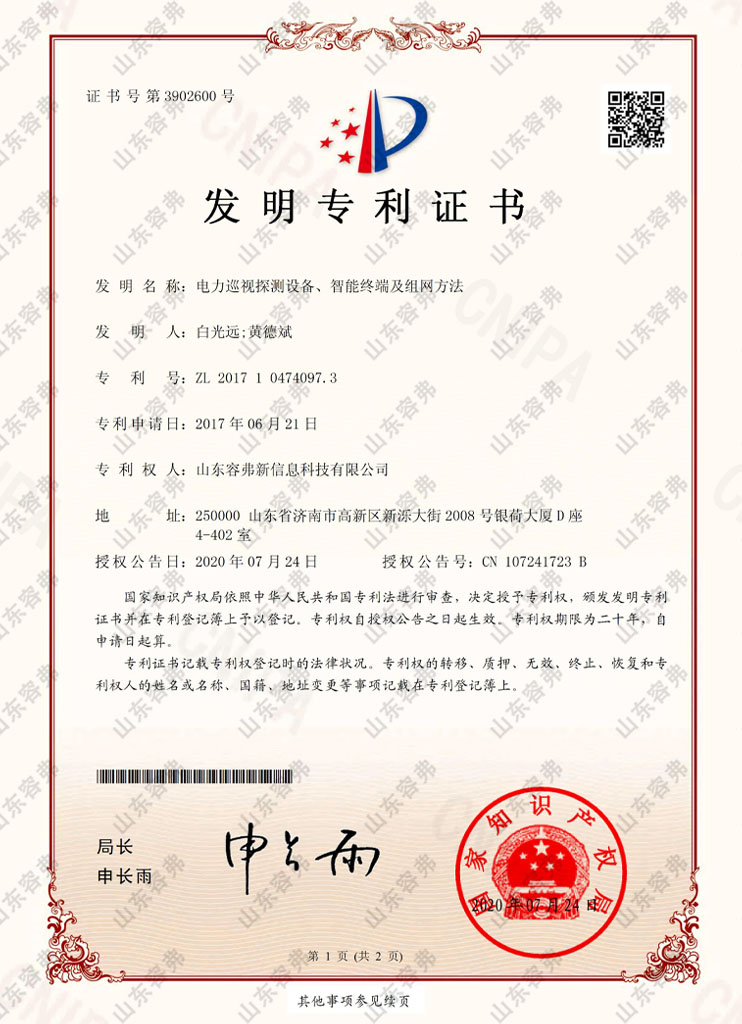 電力巡視探測(cè)設(shè)備、智能終端及組網(wǎng)方法